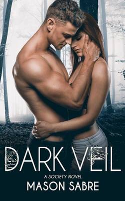 Book cover for Dark Veil