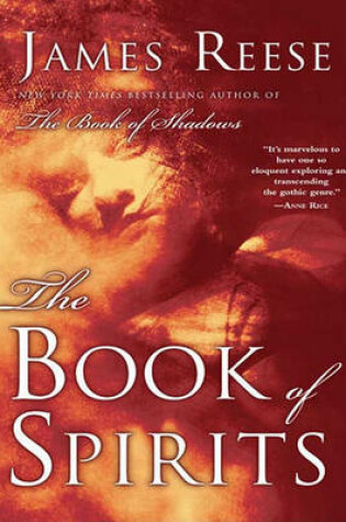 Cover of The Book of Spirits