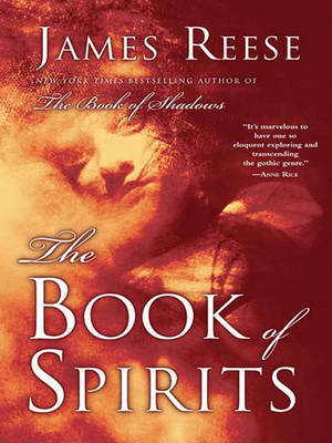 Book cover for The Book of Spirits