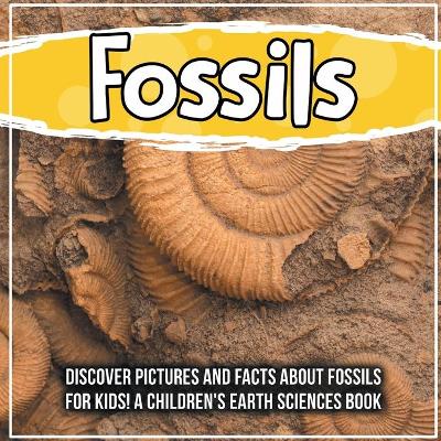 Book cover for Fossils