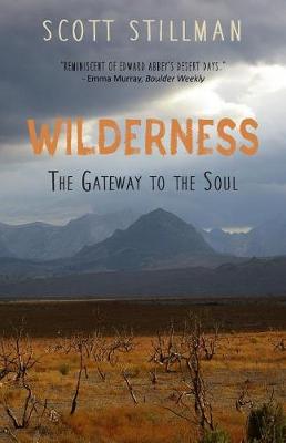 Book cover for Wilderness, The Gateway To The Soul