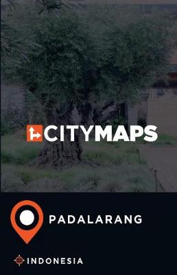 Book cover for City Maps Padalarang Indonesia