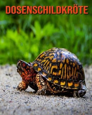 Book cover for Dosenschildkröte