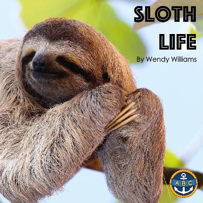 Book cover for Sloth Life