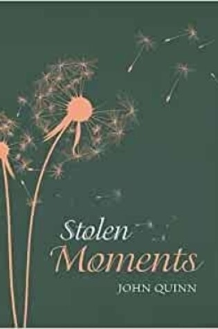 Cover of Stolen Moments