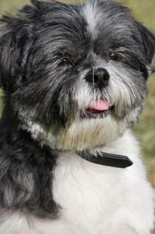 Cover of A Sitting Shih Tzu, for the Love of Dogs