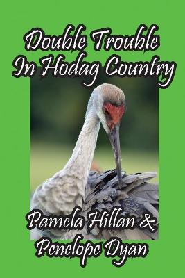Book cover for Double Trouble In Hodag Country