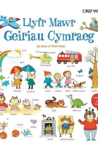 Cover of Llyfr Mawr Geiriau Cymraeg