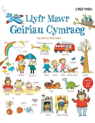 Book cover for Llyfr Mawr Geiriau Cymraeg