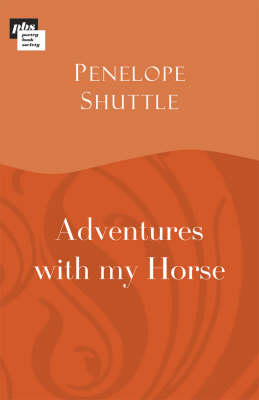 Book cover for Adventures with My Horse