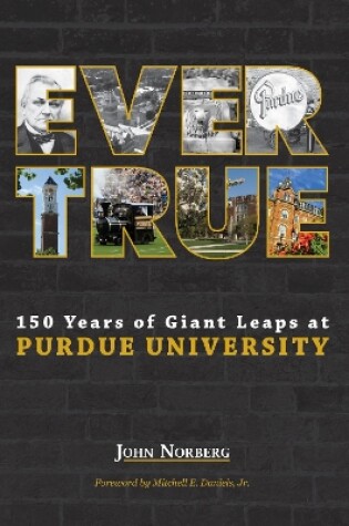 Cover of Ever True