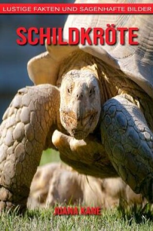 Cover of Schildkröte