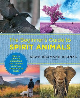 Cover of Beginner's Guide to Spirit Animals