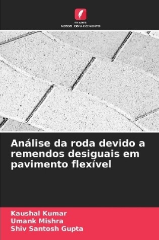 Cover of Análise da roda devido a remendos desiguais em pavimento flexível