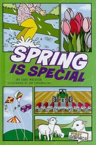 Cover of Spring Is Special