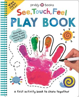 Book cover for See Touch Feel: Play Book