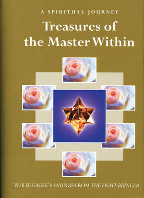 Book cover for Treasures of the Master within