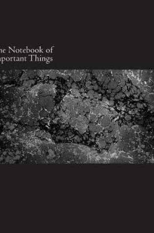 Cover of The Notebook of Important Things