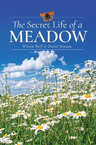 Cover of The Secret Life of a Meadow