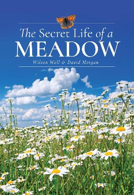 Book cover for The Secret Life of a Meadow