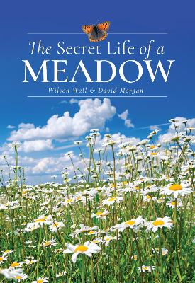 The Secret Life of a Meadow by Wilson Wall, David Morgan