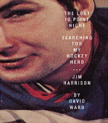 Book cover for The Lost 10 Point Night