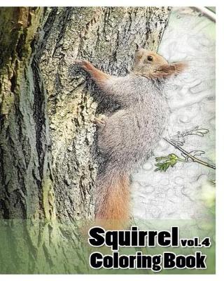 Book cover for Squirrel