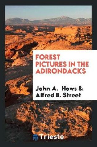 Cover of Forest Pictures in the Adirondacks