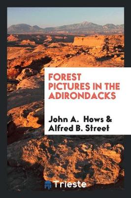 Book cover for Forest Pictures in the Adirondacks