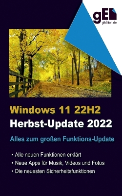 Book cover for Windows 11 - 22H2