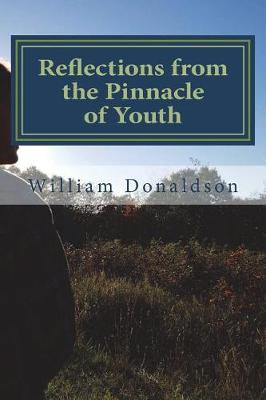 Book cover for Reflections from the Pinnacle of Youth