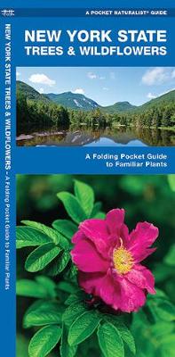 Book cover for New York State Trees & Wildflowers