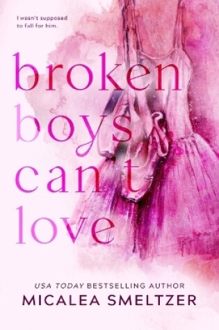 Cover of Broken Boys Can't Love - Special Edition