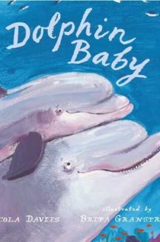 Cover of Dolphin Baby