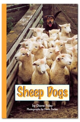 Cover of RAINBOW READING SHEEP DOGS - B