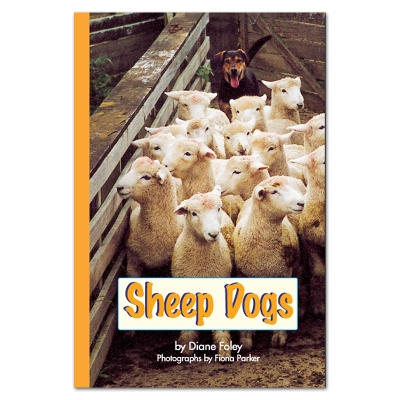 Book cover for RAINBOW READING SHEEP DOGS - B