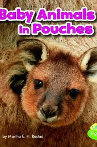 Cover of Baby Animals in Pouches (Baby Animals and Their Homes)