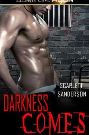 Cover of Darkness Comes