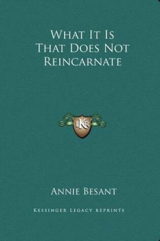 Cover of What It Is That Does Not Reincarnate