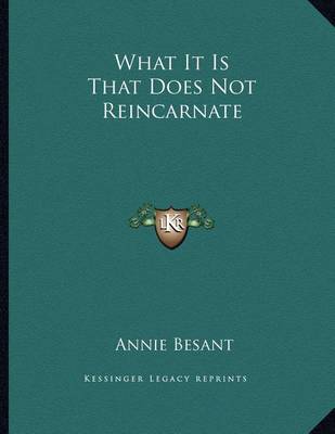 Book cover for What It Is That Does Not Reincarnate