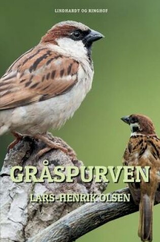 Cover of Gråspurven