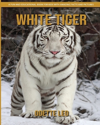 Book cover for White Tiger