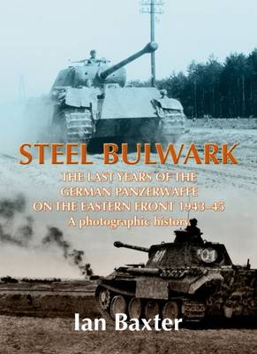 Book cover for Steel Bulwark