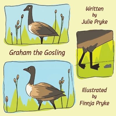 Book cover for Graham the Gosling