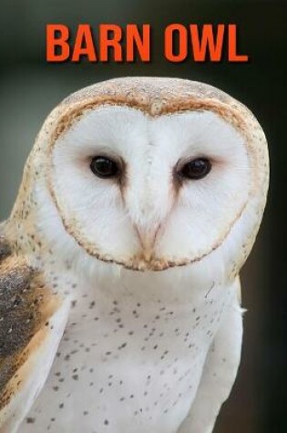 Cover of Barn owl