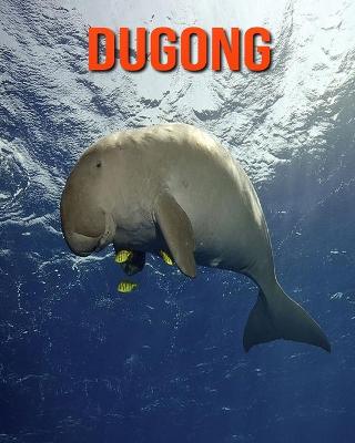 Book cover for Dugong