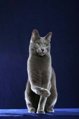 Cover of Russian Blue Cat Journal "Hey, Man. Cat Nip. First Hit is Free."