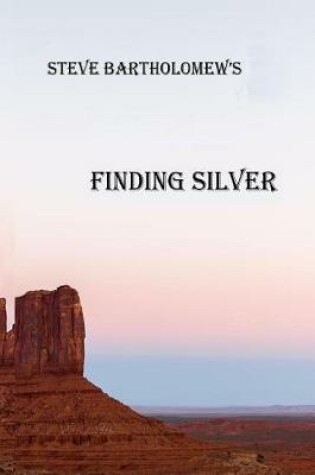 Cover of Finding Silver