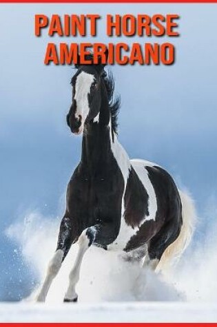 Cover of Paint Horse Americano