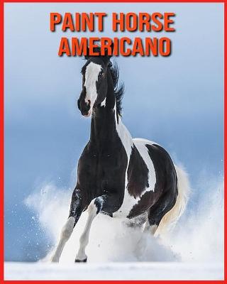 Book cover for Paint Horse Americano